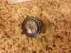 106905 828 12 Datcon Temperature Water Gage Cu