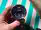 2220 02 Smiths Original Water Temperature Gauge 1972-76 Mgb Mgbgt 2220 02 Smiths Original Water Temperature Gauge 1972-76 Mgb Mgbgt