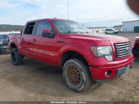 257-06963 Ford Truck F150 2011 Speedometer 1375564