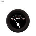 Gar118zexlacbd Aurora Instruments Water Temp 802269041899