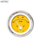 Gar2120zmxlabcd Aurora Instruments H2o Temp 802269106505