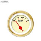 Gar219zmxlaabe Aurora Instruments H2o Temp 802269097544