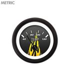 Gar299zmxlaccc Aurora Instruments H2o Temp 802269104587