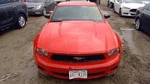 Used Speedometer Gauge Fits: 2012 Ford Mustang Cluster Mph 3.7L 4. Fixed Price $134.90.