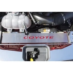 Radiator Cover Plate Dark Blue 'coyote' Inlay&coyote 2016 Ford Mustang Gt. Fixed Price $94.80.