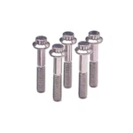 Arp 613-4500 Standard 12POINT Bolt 5PC Stainless Steel 3/8-16 X 4.5 Wrenchi. Fixed Price $34.07.