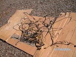 1968-69 100-200 300 Dodge Truck Headlight To Taillight Wiring Harness. Fixed Price $97.50.