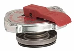 1990-1997 Ford CF7000-SAFETY Release Radiator Cap Gates 176FW65. Fixed Price $22.41.