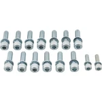 Speedway Motors 91001008 Fits Chevy Ls Oil Pan Bolt Kit, Steel. Fixed Price $20.99.