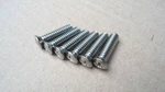 6 Stainless Steel Mirror Screws! Early Ford Fairlane Mercury Nash Checker. Fixed Price $29.50.