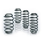 Eibach Pro-kit Lowering Springs E10-20-031-01-22 For Bmw 3/4 COUPE/4 Gran. Fixed Price $304.00.