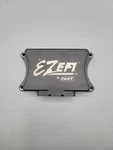 Engine Control Module (ECM)-4BBL, General Motors Fast 30226. Fixed Price $60.00.