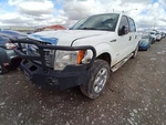 Instrument Speedometer Cluster Kph FX2 Id EL3T-10849-KA Fits 14 Ford F150 Pickup. Fixed Price $116.02.