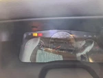 Used Speedometer Gauge Fits: 2004 Ford Crown Victoria Cluster Column Shift Analo. Fixed Price $107.00.